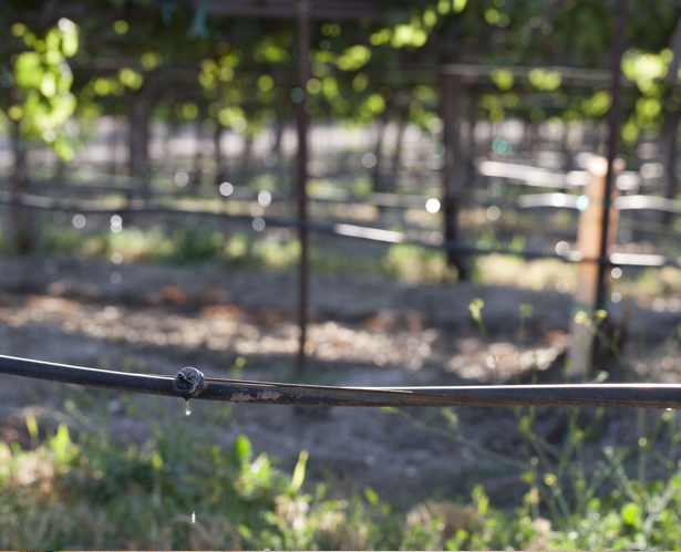 Drip irrigation